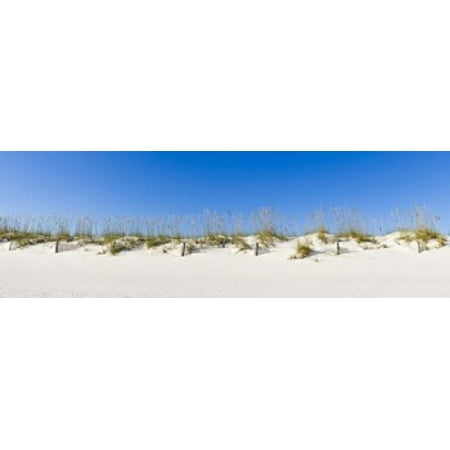 Sand dunes on Gulf Of Mexico Orange Beach Baldwin County Alabama USA Canvas Art - Panoramic Images (18 x