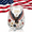 type-B 1PCS, variant on America 250th Anniversary Eagle Whiskey Glass, 1776-2026 Semiquincentennial Old Fashioned Tumbler, Patriotic Drinkware Gifts for Veterans, Dad, Men, 4th of July Independence Day Celebration Decor