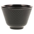 thumbnail image 1 of Cast Iron Tea Cup Household Teaware Iron Tea Cup Chinese Tea Tasting Cup, 1 of 1