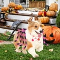 thumbnail image 6 of Pink Creepy Spider Dog Costume - Halloween Funny Pet Dress Up With Stretchy Comfortable Fit,Halloween Pet Tarantula Costume Halloween Dog Transformation Costume Tarantula Decoration Costume, 6 of 6