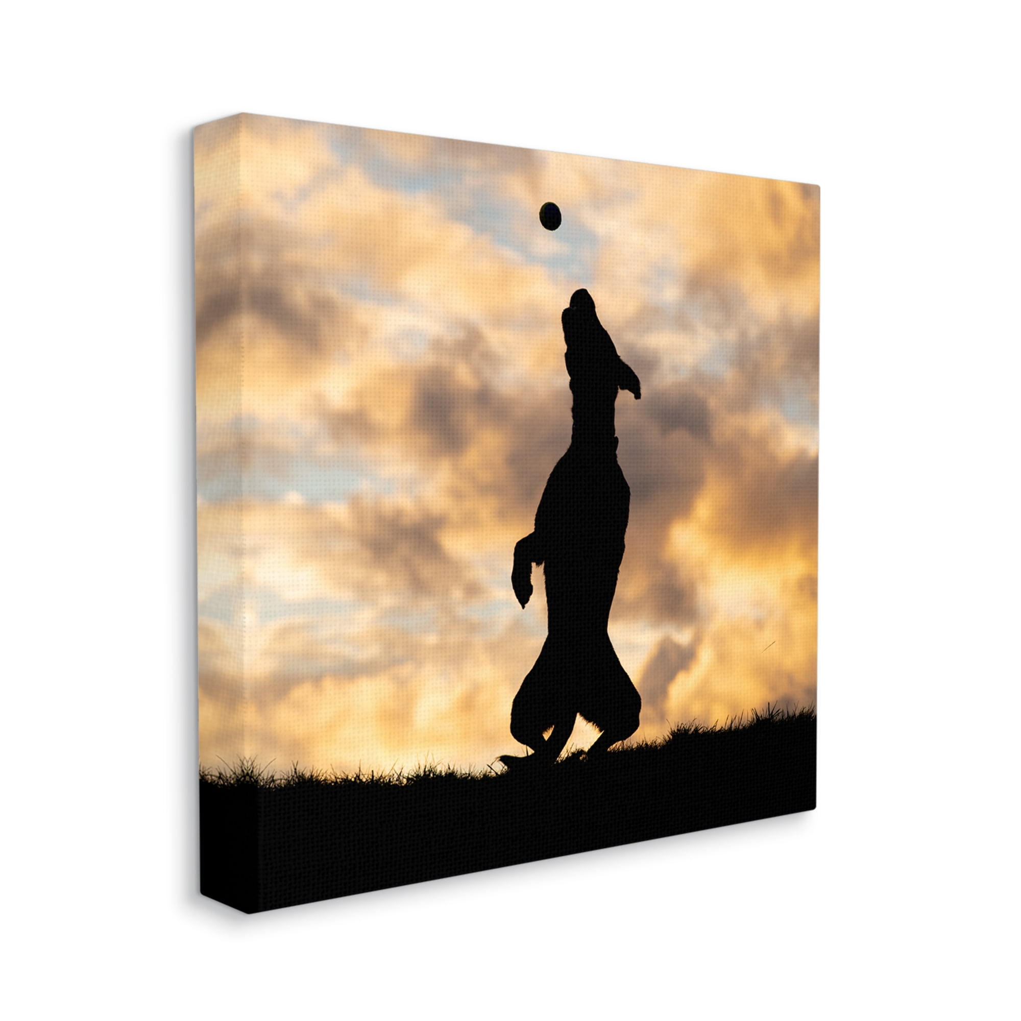 Stupell Industries Dog Playing Sunset Silhouette Animals & Insects Photography Gallery Wrapped Canvas Art Print Wall Art, 36 x 36