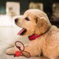 thumbnail image 3 of Niceauty Balls for Dogs Dog Fetch Ball Rubber Dog Owners Outdoor Play 3Pcs, 3 of 8