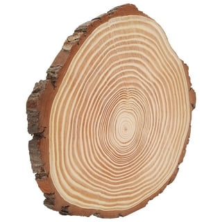 Deago 10 Pcs Natural Wood Slices Set Wood Rounds kit with Hole
