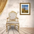 thumbnail image 3 of Fitzharris, Tim 26x31 Gold Ornate Wood Framed with Double Matting Museum Art Print Titled - Big Saguaro Cactus, 3 of 4