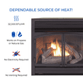 Duluth Dual Fuel Ventless Gas Fireplace Insert with Natural
