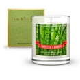 thumbnail image 4 of Daniella's Candles Green Leaf and Bamboo Scented Jewelry Candle - No Jewelry Inside, 4 of 4