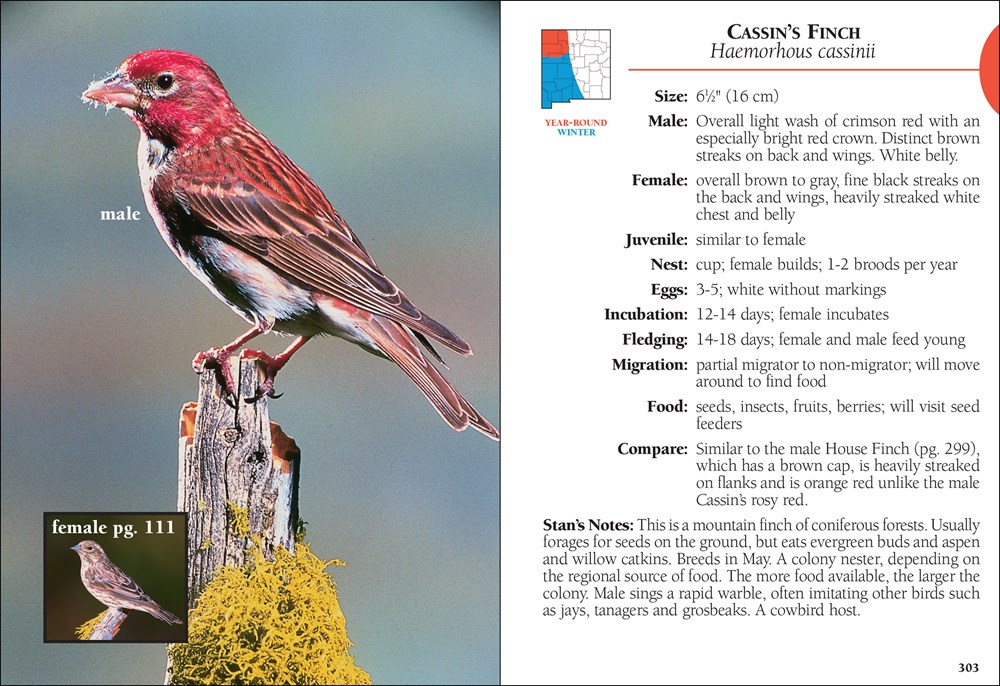 Bird Identification Guides: Birds of New Mexico Field Guide (Paperback) - image 4 of 4