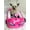 Pink, variant on Megatoys Barbie Small Pet Bed, Plush Car Bed with 2 Crinkle Barbie-Themed Toys, Pink