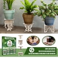 thumbnail image 1 of Soporte de base para maceta de madera para plantas suculentasestante de exhibición (piña) Ndcxsfigh Nuevos Originales, 1 of 6