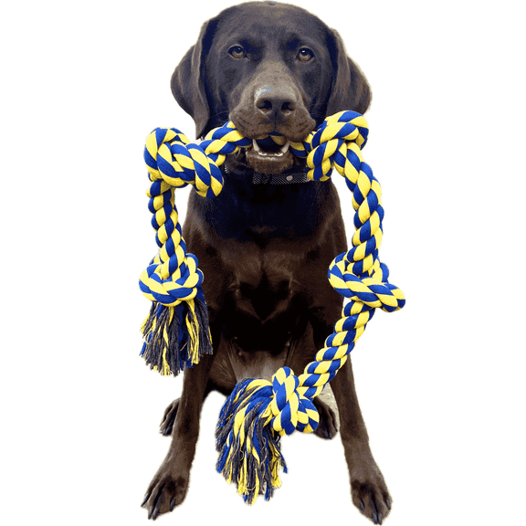 Ruby Approved Cotton Rope Dog Toy for Aggressive Chewers, Blue, Large