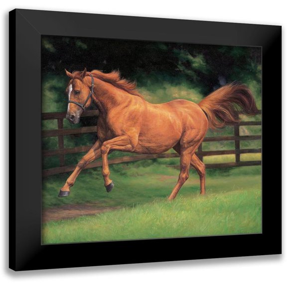 Petrikova, Eva 13x12 Black Modern Framed Museum Art Print Titled - Running Brown Horse