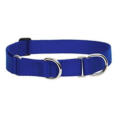lupinepet basics 1 blue 15-22 martingale collar for medium and larger dogs