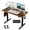Brown, variant on 48"x24" White Electric Height Adjustable Standing Desk, Computer Workstation with 3 Height Memory Presets, Perfect for Home & Office Work, Study and Gaming