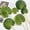 A Coffee, variant on Artificial Leaf No-Maintenance Long-Lasting Freshness Realistic Fan-Shaped Leaves High-Simulation Texture Fake Tropical Leaves Home Decor