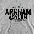 thumbnail image 2 of Batman Arkham Asylum Unisex Adult Pull-Over Heather Hoodie, Medium, Athletic Heather, 2 of 4