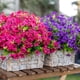 thumbnail image 4 of 12 Manojos de Flores Artificiales de Otoño, Decoración de Otoño Al Aire Libre a Prueba de Decoloración para Porche, Jardín, Patio, Sala de Estar, Recámara - Arreglo Floral Decorativo Multiusos, 4 of 10