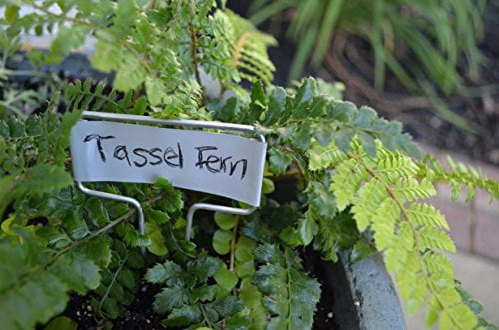 Bosmere 5" Zinc Plant Labels, Set of 20, Includes Pencil K437