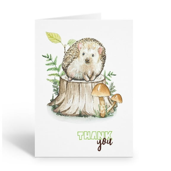 Stonehouse Collection | Watercolor Hedgehog Thank You Note Cards |10-Pack Blank