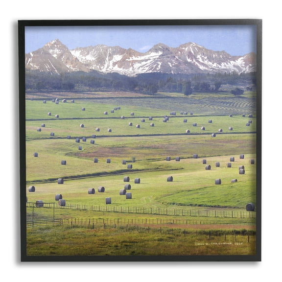 Stupell Rural Hay Bales Farm Pasture Landscape Photography Black Framed Art Print Wall Art