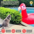 Swimline Giant Inflatable Parrot Float for Swimming Pools - Walmart.com