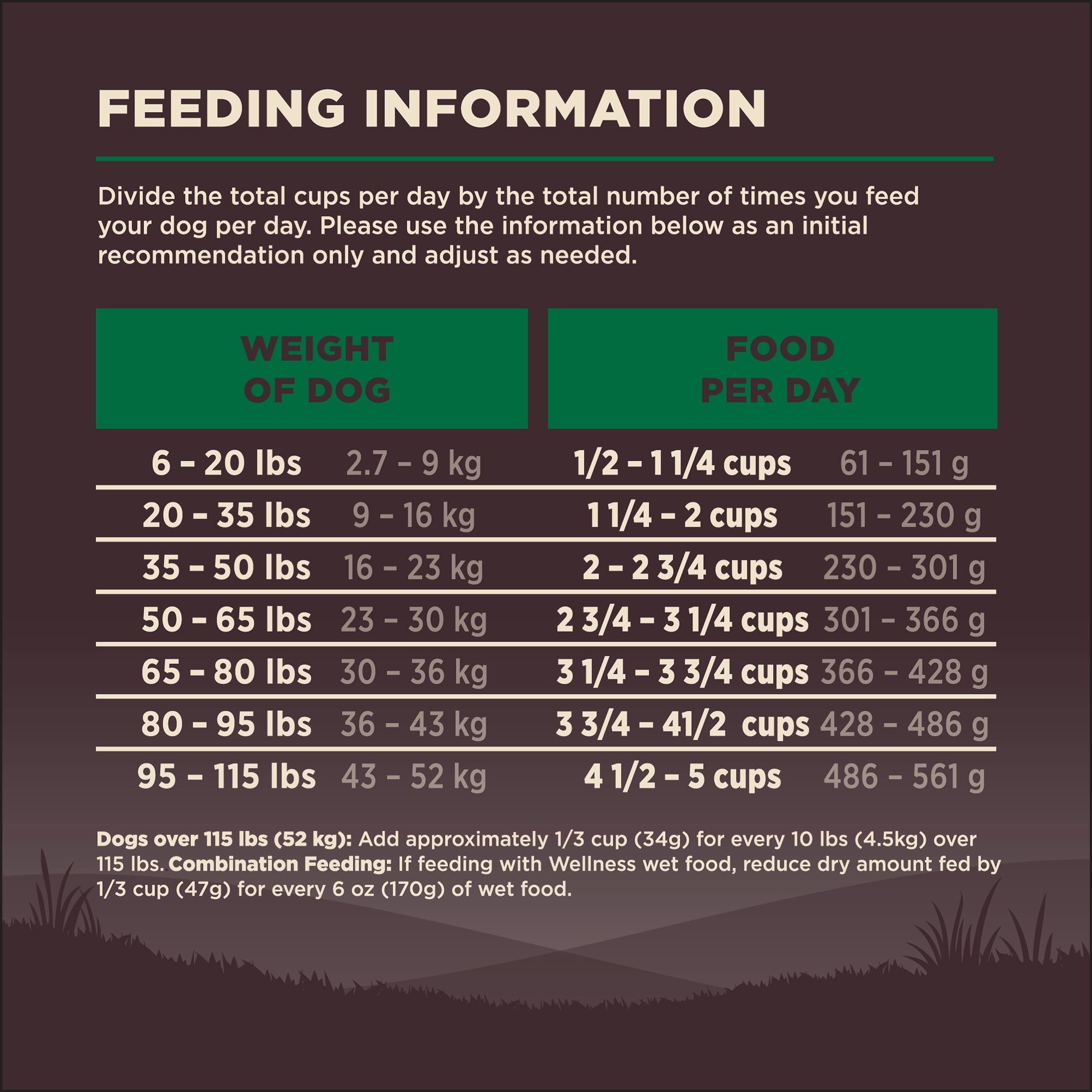 Wellness CORE Dry Dog Food, Grain Free, High Protein, Natural, Lamb Recipe, (22-Pound Bag)