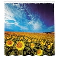 thumbnail image 3 of Ambesonne Floral Shower Curtain, Sunflower Garden Nature, 69"Wx70"L, Yellow and Blue, 3 of 5