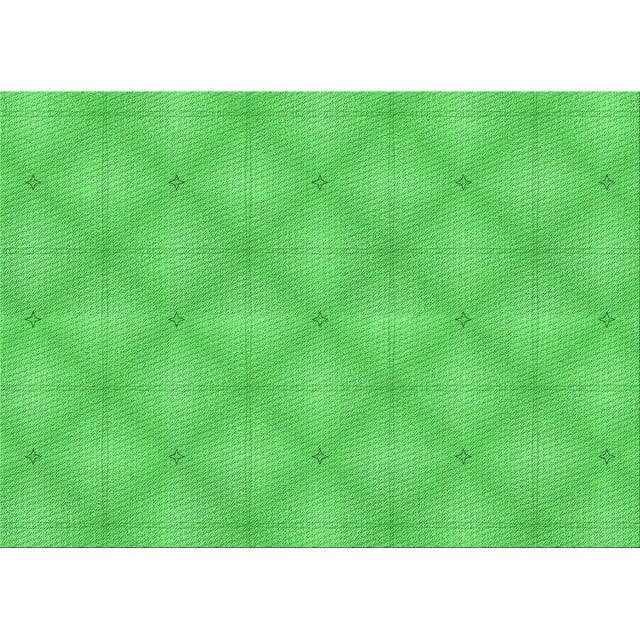 Ahgly Company Tapis d'Intérieur Lavables en Machine Rectangle Transitionnel Vert Néon, 6' x 9'