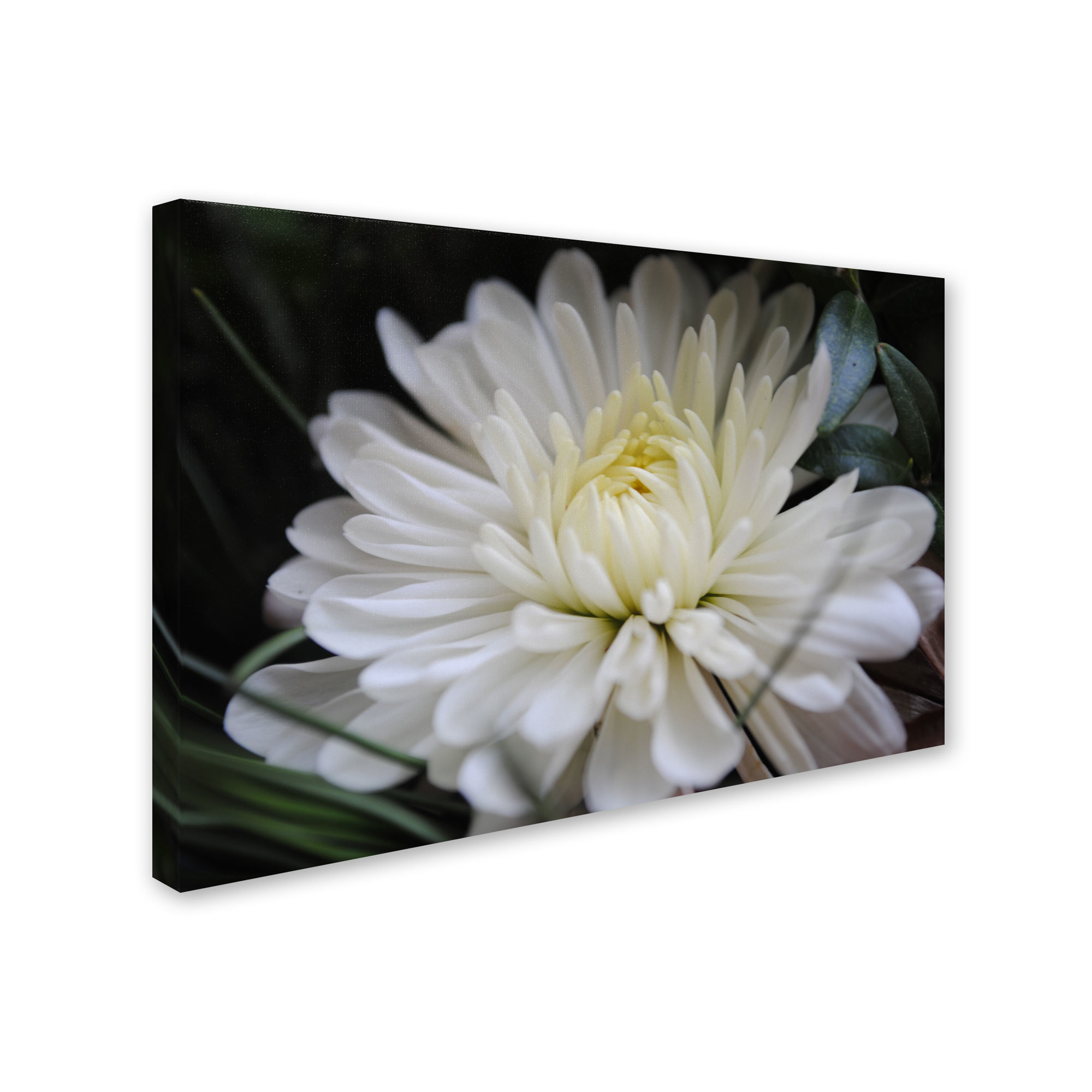Trademark Fine Art "Vintage Culture" Canvas Art by Monica Fleet