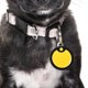 thumbnail image 4 of BESTYASH 15Ud Silenciadores Redondos De Silicona Para Placas De Perro Y, 4 of 6