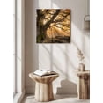 thumbnail image 5 of Wall Art Prints, Brown Trees Framed Canvas Prints for Bedroom Living Room Bathroom Office, Vintage Rustic Forest Nature Light Scenery Gallery Wrap Wall Art Poster for Gifts Home Decor 8"x8", 5 of 9