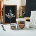 thumbnail image 2 of Bluebird Professional Thick Modeling Paste 571ML / 28.2Oz - High Density, Acrylic Medium - for Texture and Thickness, Dimension Additive (White, 28.2 Oz / 800GM), 2 of 5