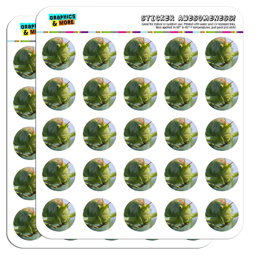 on Leaf 1" Scrapbooking Crafting Stickers