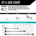thumbnail image 5 of Wolfgang Heavy Duty, Adjustable Dog Collar with Quick Release Nylon Buckle for Walking & Training, Daydream Print, Large, 5 of 7
