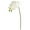 White, variant on Nearly Natural 28in. Orchid Phalaenopsis Artificial Flower Stem (Set of 6)-Color:White