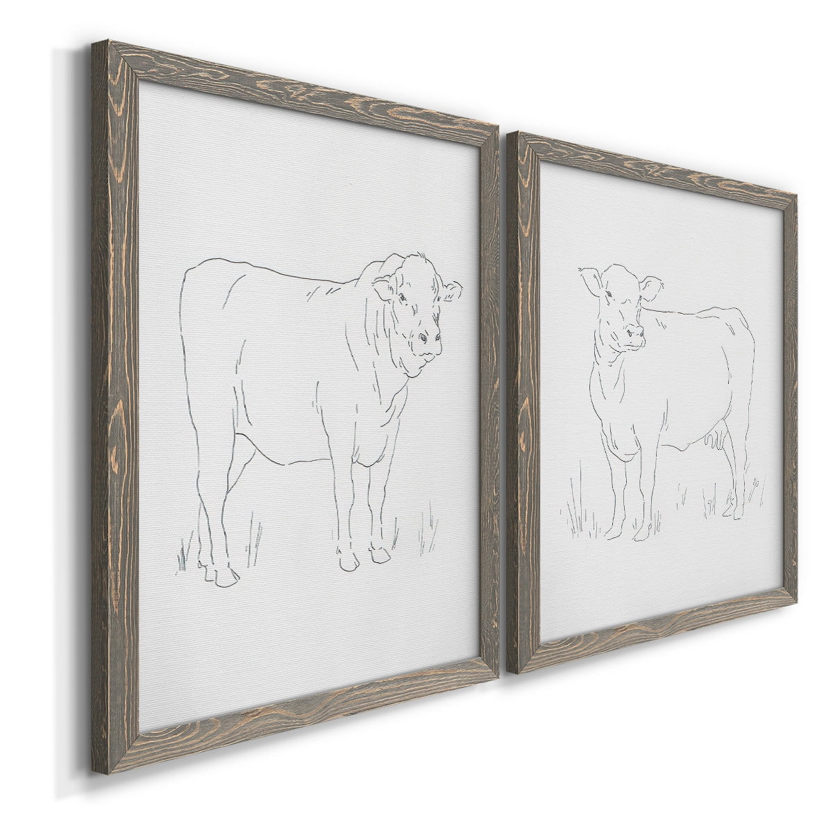 Limousin Cattle I - Premium Framed Canvas 2 Piece Set - Ready to Hang