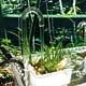 thumbnail image 3 of Acrylic Fish for Tank U Shape Transparent Pipe for Aquarium Connecting Air Line CO2 System Oxygen Aerator Connector, 3 of 4