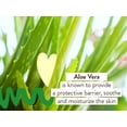 thumbnail image 3 of Babo Botanicals After Sun Aloe Vera And Cucumber Soothing Mist, 5.5 Oz, 3 of 10