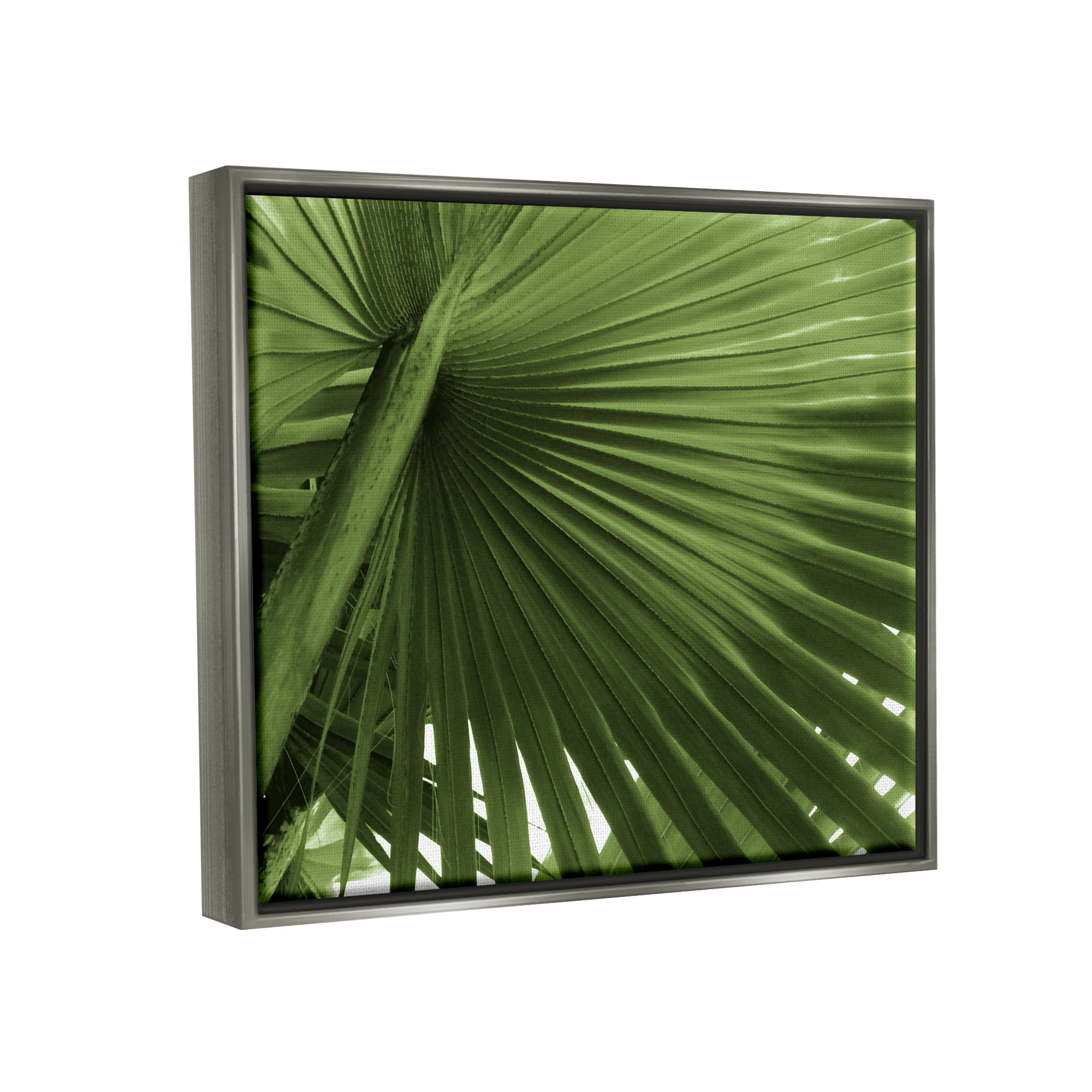 Stupell Industries Green Tropical Leaf Botanical & Floral Photography Gray Floater Framed Art Print Wall Art, 31 x 25