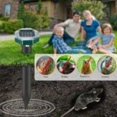thumbnail image 3 of 8 Solar-Powered Ultrasonic Repellent Spikes for Moles, Snakes, and Voles - Compatible with Lawn, Garden, and Yard, 3 of 5