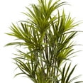thumbnail image 3 of Nearly Natural 5' Dracaena Artificial Tree, 3 of 4