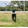 thumbnail image 3 of Jouet pour chien côtelette d'agneau debout Multipet, 3 of 9