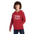 thumbnail image 3 of I Am Awake Please Respect My Privacy Funny Sarcastic Ironic Pullover Hoodie Red Toddler Boys Hoodie, 3 of 6
