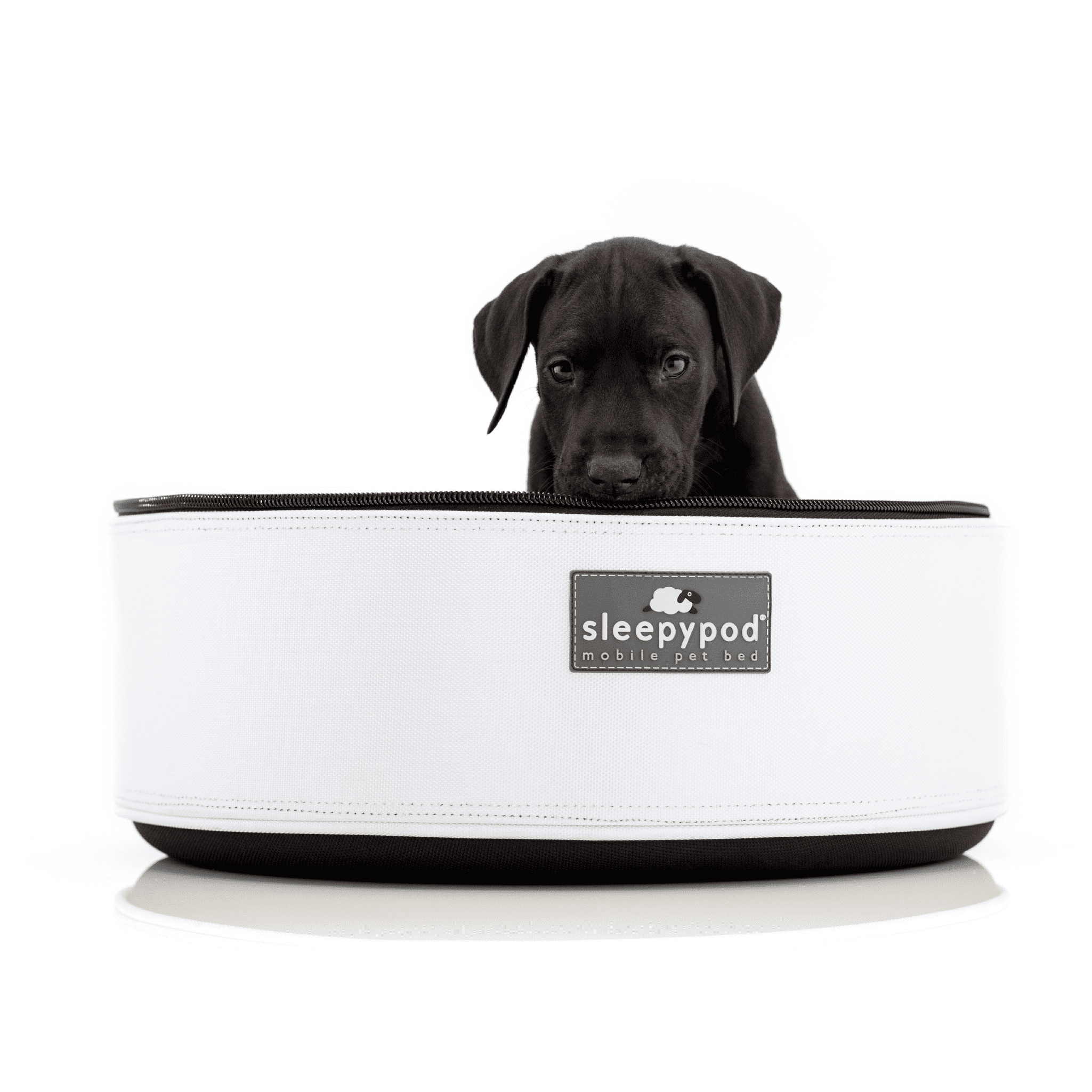 Sleepypod Mobile Pet Bed — Multi-use Travel Pet Bed, Crash-Tested