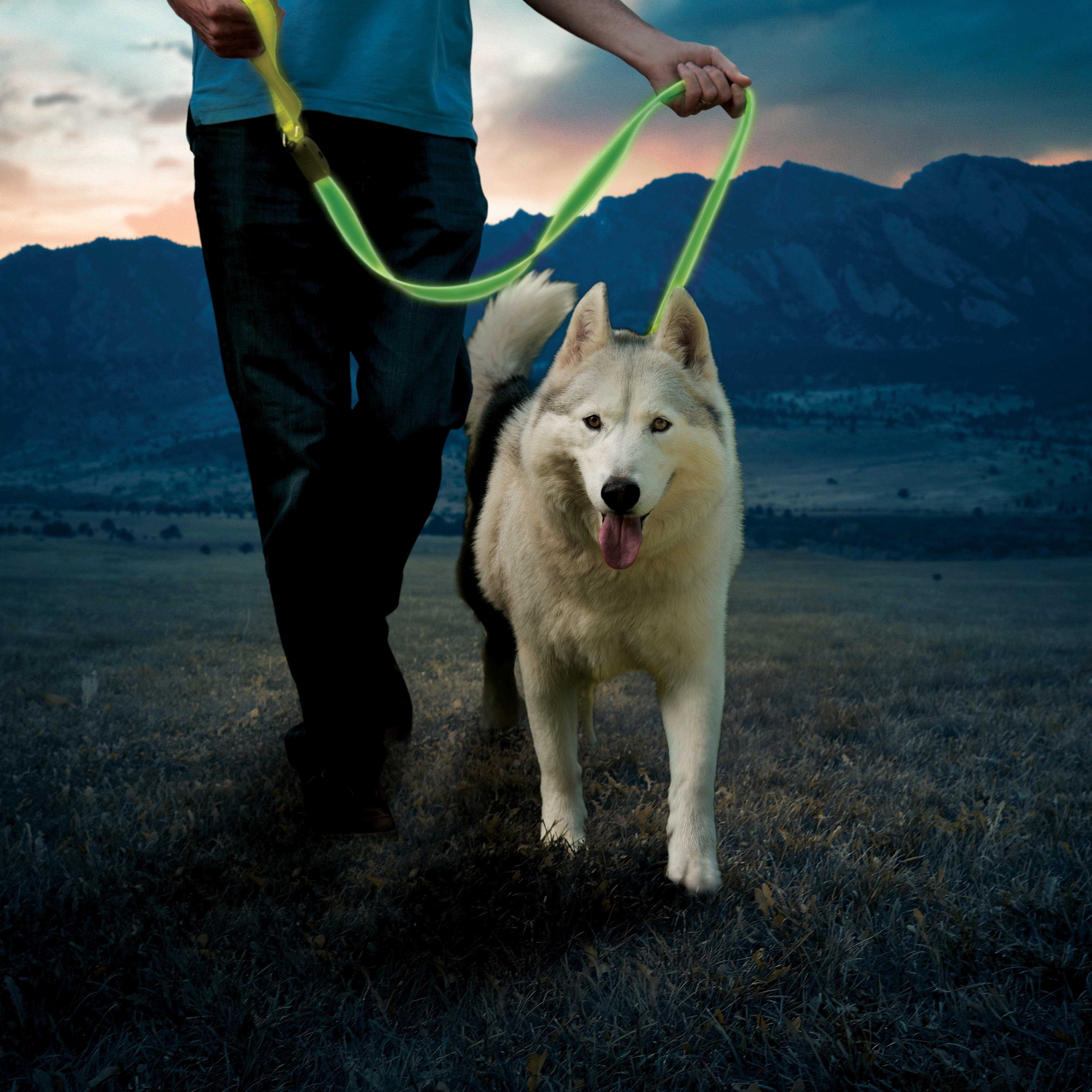 Nite Ize Rechargeable LED Leash Lime Green