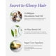 thumbnail image 5 of Sérum capilar KUNDAL Intense Repair con macadamia, 100 ml, almizcle blanco, 5 of 9