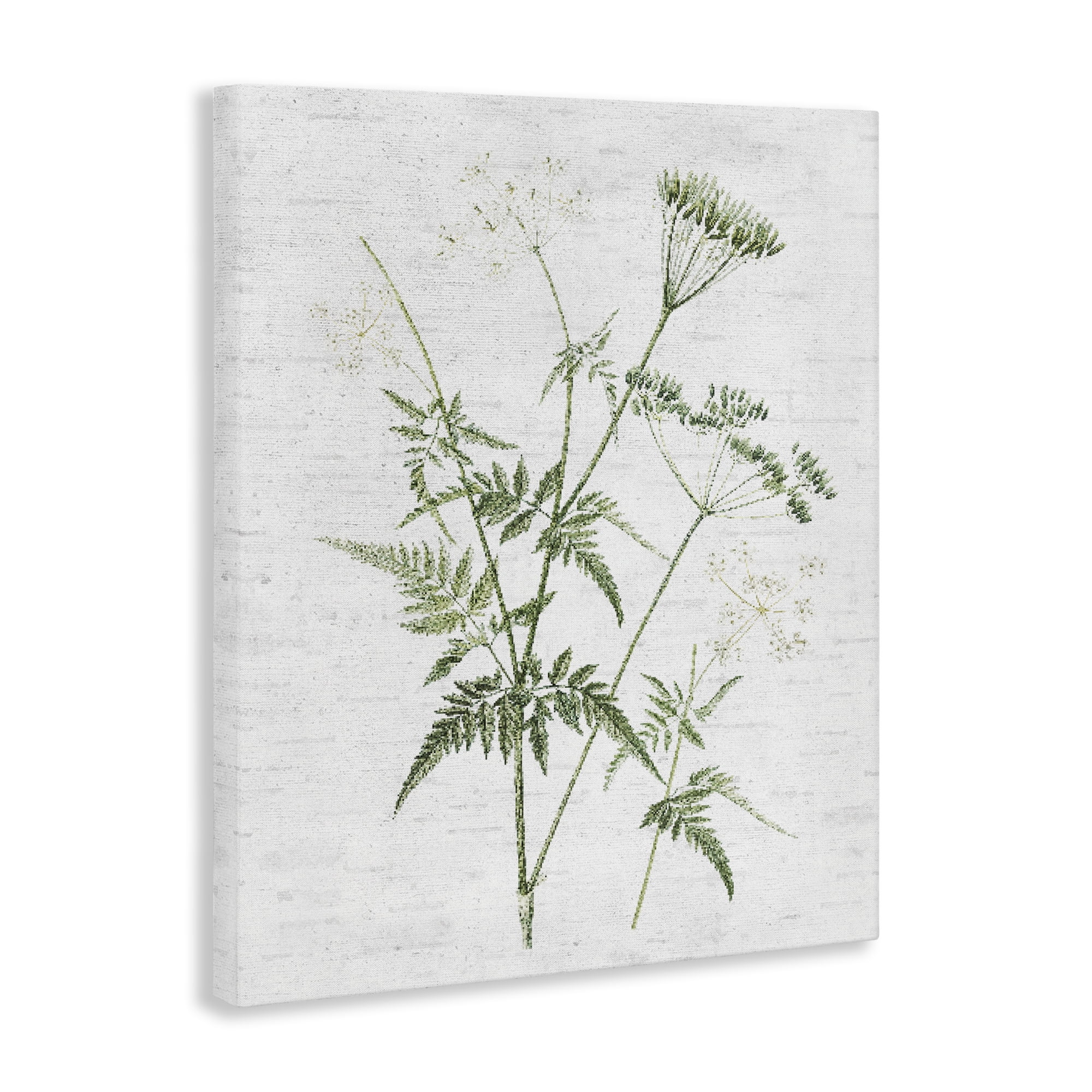 Stupell Industries Soft Blooming Bud Botanical & Floral Painting Gallery Wrapped Canvas Art Print Wall Art, 24 x 30