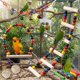 thumbnail image 5 of Juguetes Para Pájaros Como Mascotas Juego de juguetes para jaula de pájaros con columpios, escaleras, campanas y espejo para pájaros pequeños y medianos. Rkxzt, 5 of 9