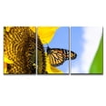 thumbnail image 2 of wall26 - 3 Piece Canvas Wall Art - Female Monarch Butterfly Danaus Plexippus on a Sunflower Helianthus Annuus - Modern Home Art Stretched and Framed Ready to Hang - 16"x24"x3 Panels, 2 of 4