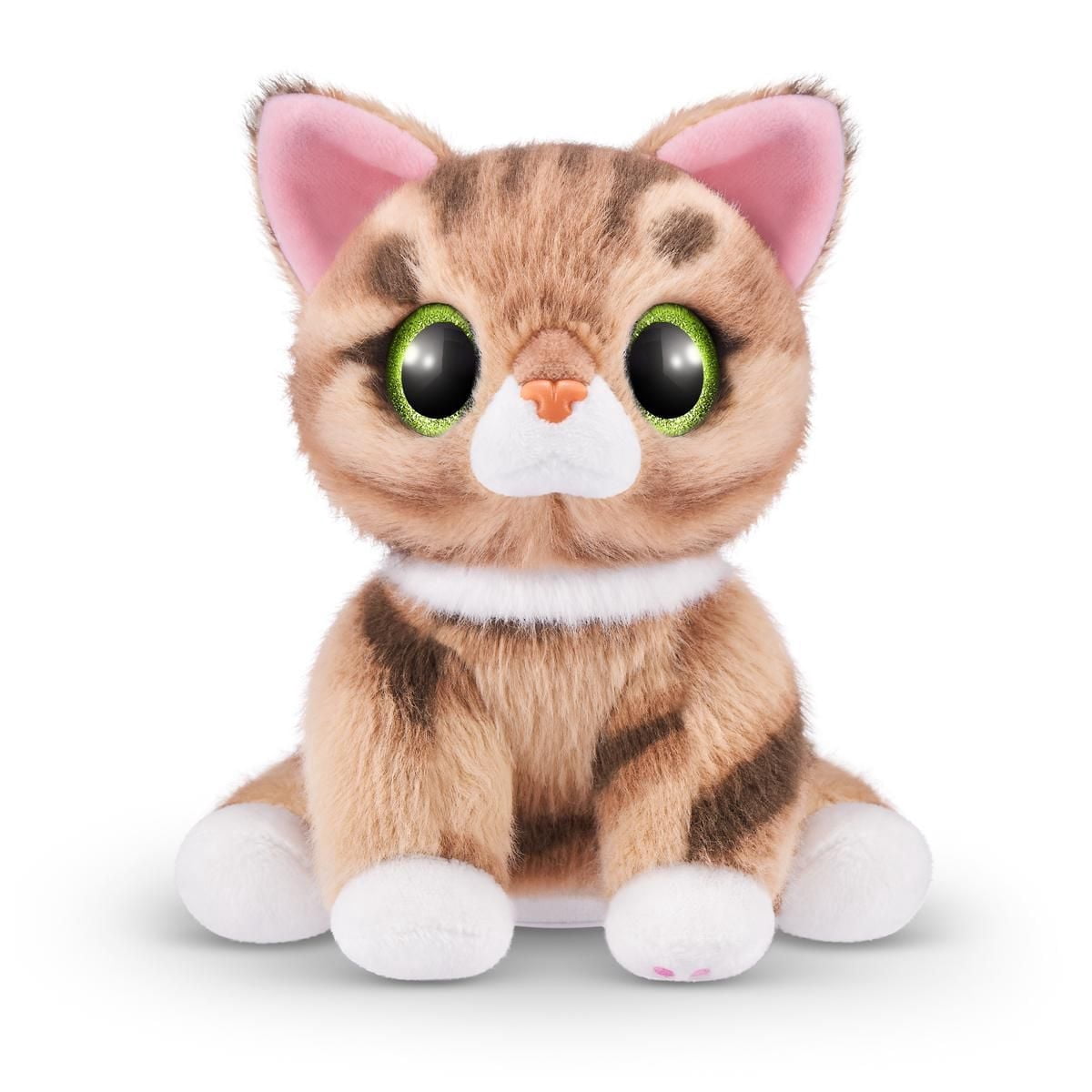 Chaton d'amour Pets Alive