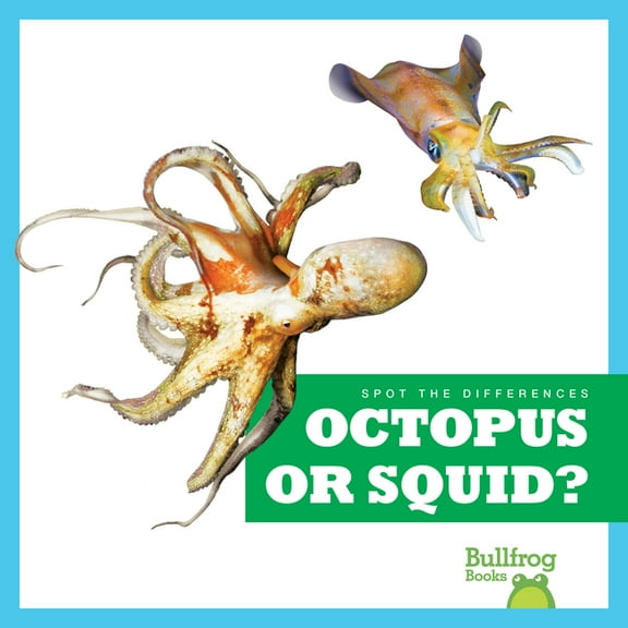 Spot the Differences Octopus or Squid?, (Hardcover)